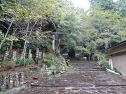 キヨさんの羅漢寺旧参道の投稿写真1