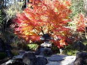 あまちゃんさんの善水寺の投稿写真2