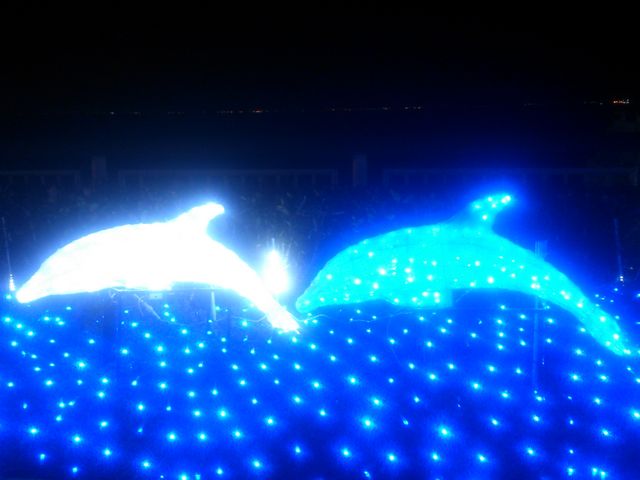 イルカのイルミネーション_海ほたるパーキングエリア