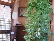 てつきちさんのさのや 片町店の投稿写真2