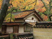 しんちゃんさんの根香寺の紅葉の投稿写真1