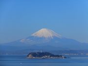 ニコちゃんさんの大崎公園の投稿写真1