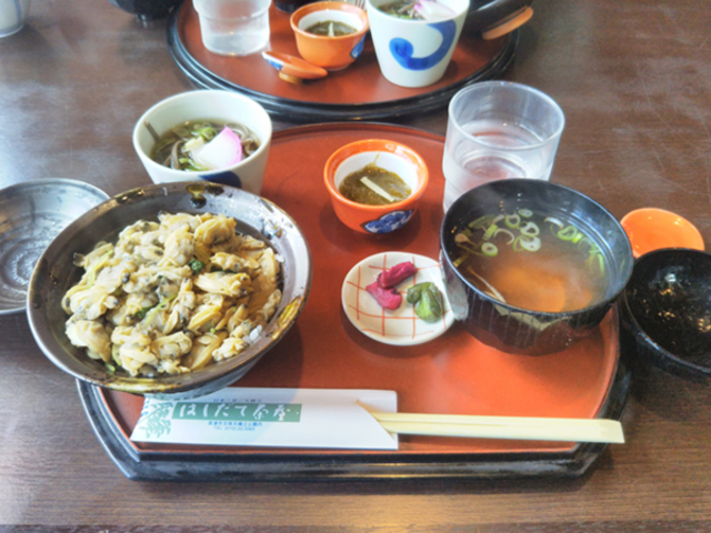 丼は汁ダク。よくかき混ぜると雑炊になる。_はしだて茶屋