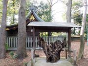 おおた5525さんの八雲氷川神社の投稿写真4