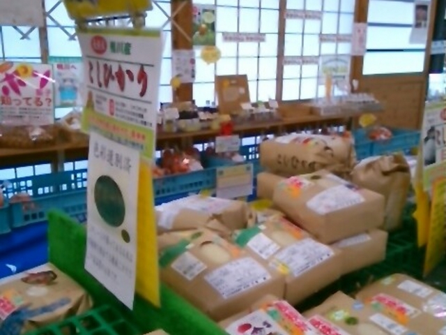 『長挟米こしひかり』。_ながさ観光農園