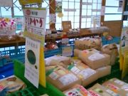 usaさんのながさ観光農園の投稿写真1