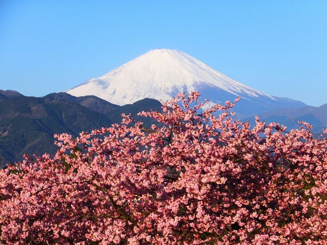 松田山ハーブガーデン