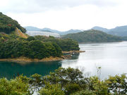 イルカくんさんの若松大橋の投稿写真2