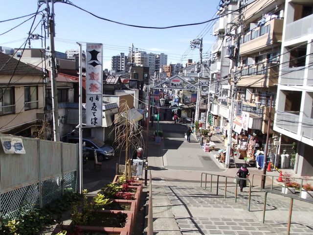 上からの眺め (正面が西側で谷中ぎんざ商店街方向)_夕やけだんだん