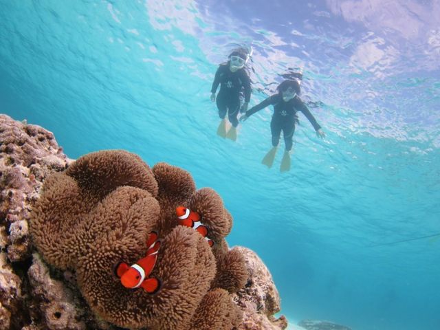 ニモとパチリ_マリンサービスアポロン石垣島