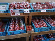 こうもりさんの大仁まごころ市場の投稿写真1