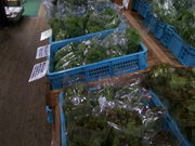 こうもりさんの大仁まごころ市場の投稿写真4