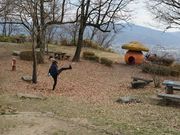 こんたさんの茶臼山恐竜公園の投稿写真1