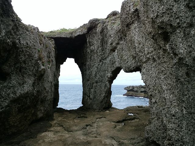 raspberryさんの犬の門蓋の投稿写真2