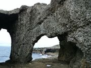 raspberryさんの犬の門蓋の投稿写真1