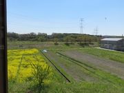 てつきちさんのファームキッチン野菜花の投稿写真2