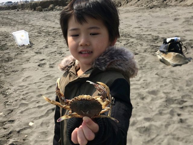 ちょっとだけ、こわい((( ;゚Д゚)))_森川漁網店(ヒラツメガニ釣り体験)