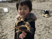 しきさんの森川漁網店(ヒラツメガニ釣り体験)の投稿写真1