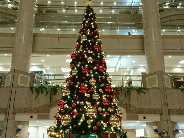 クリスマスツリー〓〓〓_横浜ランドマークタワー