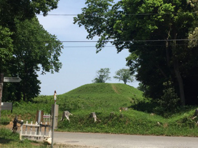 こんもりした小山_岩屋古墳