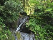 イワダイさんの柳の滝の投稿写真3