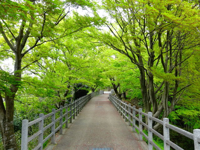 匂崎公園_匂崎公園