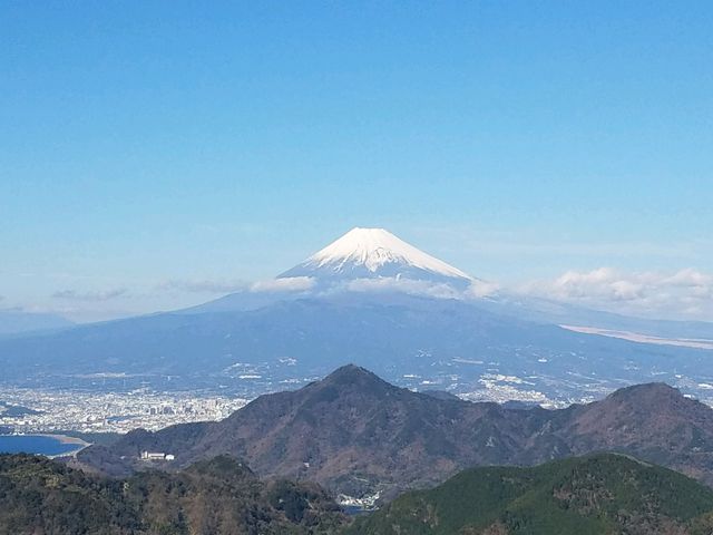 晴天〓_伊豆パノラマパーク