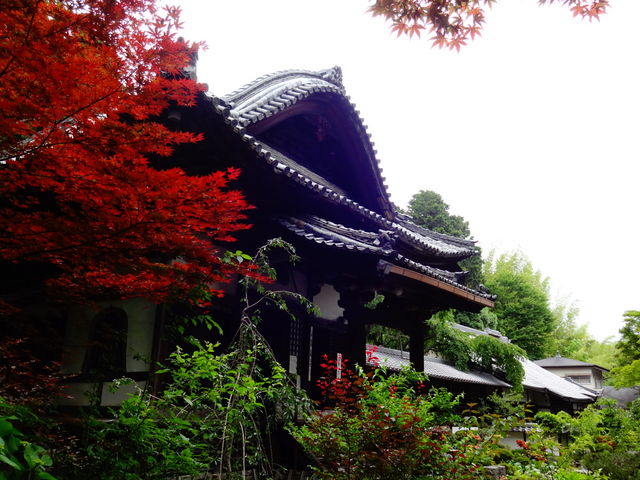 十輪寺_十輪寺