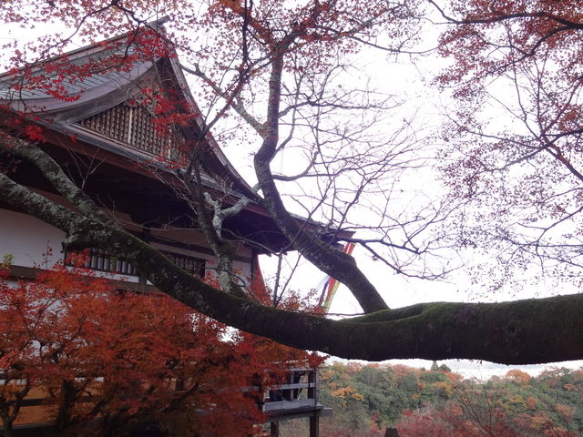 大悲閣千光寺_大悲閣千光寺
