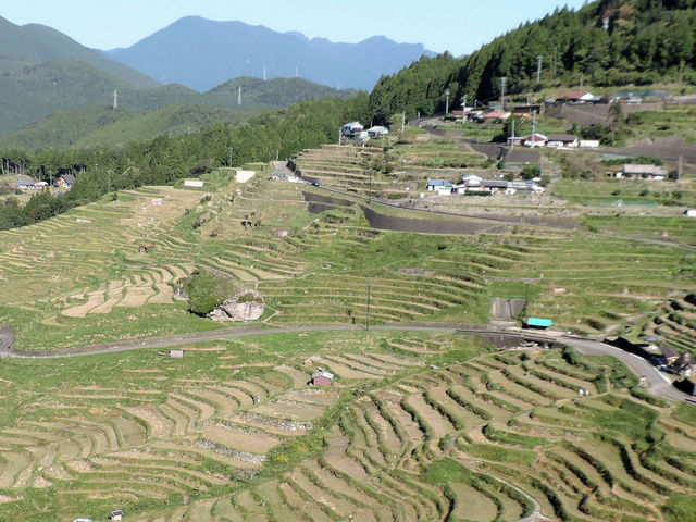 秋の収穫を終えた丸山千枚田_丸山千枚田