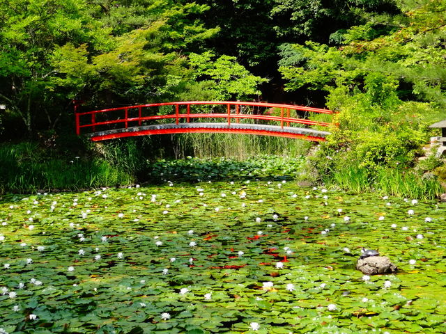 大原野神社_大原野神社
