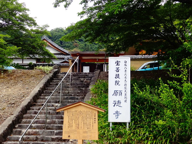 願徳寺_願徳寺