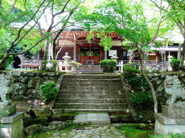 勝持寺_勝持寺