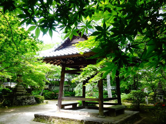 勝持寺_勝持寺