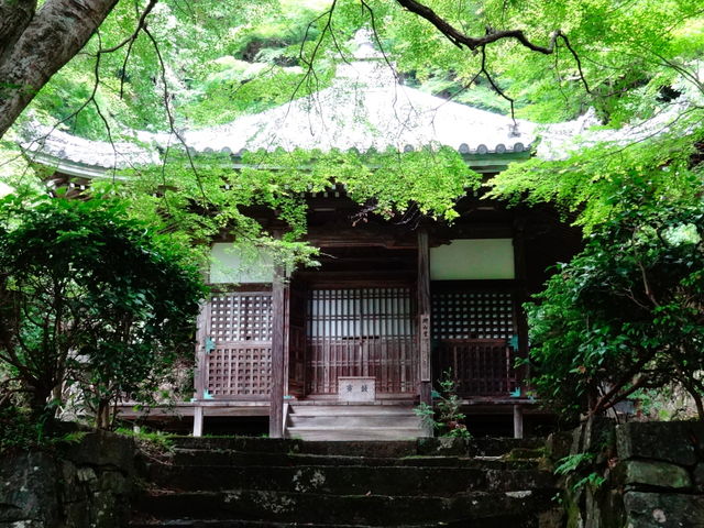 金蔵寺_金蔵寺