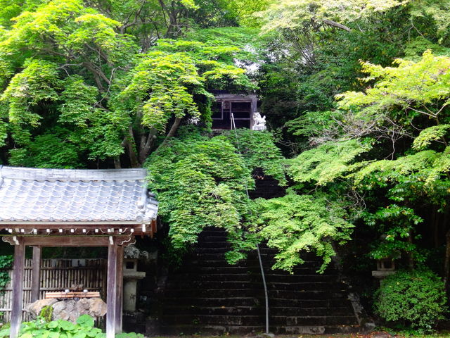 金蔵寺_金蔵寺