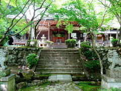 しどーさんの勝持寺への投稿写真1