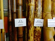 しどーさんの竹の資料館の投稿写真3