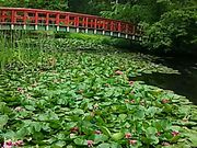 テルちゃんさんの八郎沼公園の投稿写真1