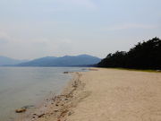 しどーさんの府中海水浴場の投稿写真1