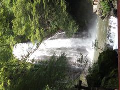 明治の森箕面国定公園(箕面の滝)の写真2