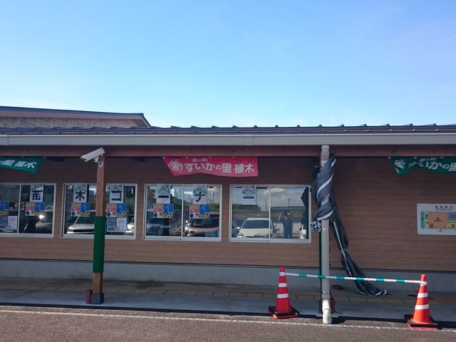 道の駅 すいかの里 植木