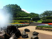 神奈川県立公園、全部行ってきました!さんの県立四季の森公園の投稿写真4