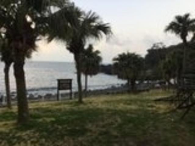 海で_伊豆海洋公園ダイビングセンター