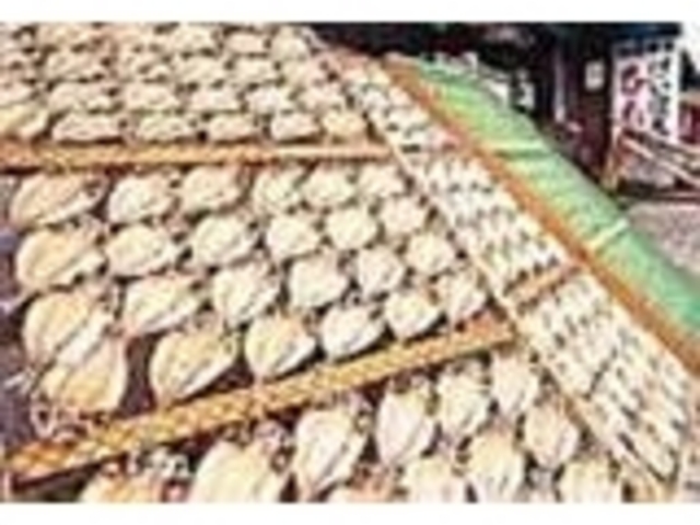 豊富な量_桂穂丸干魚店