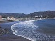 ゆうさんの宇佐美海岸の投稿写真1