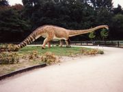 ひでちゃんさんのカブトガニ博物館の投稿写真1