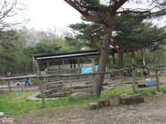 りょくさんの那須高原南ヶ丘牧場への投稿写真1