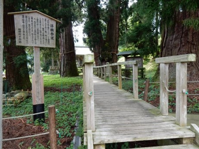浮橋参道と栢野の大杉_栢野の大杉