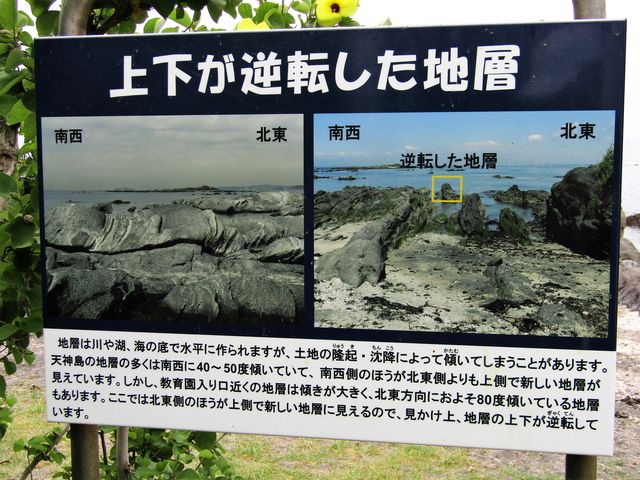 立看板_佐島のハマユウ